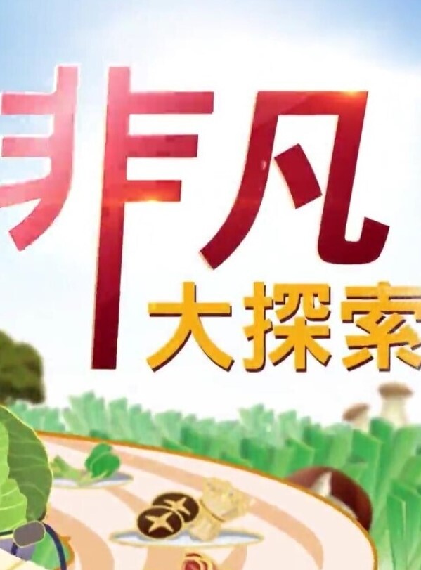 IPZZ-134 虚拟妹子无限中出 佐仓桃桃专属14发 - YunBoxAV